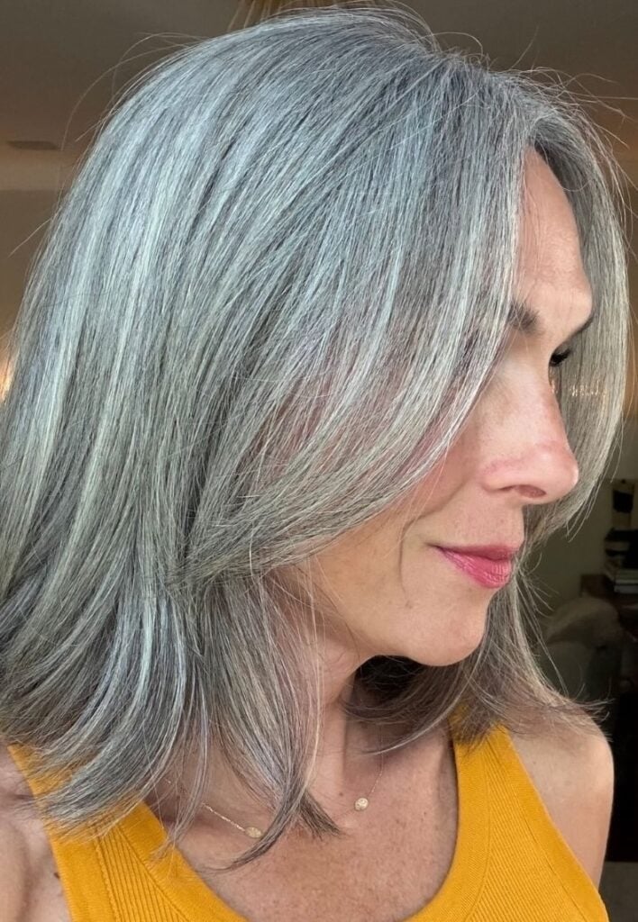 Collarbone Grey With Subtle Highlights — Simple Grey Highlights