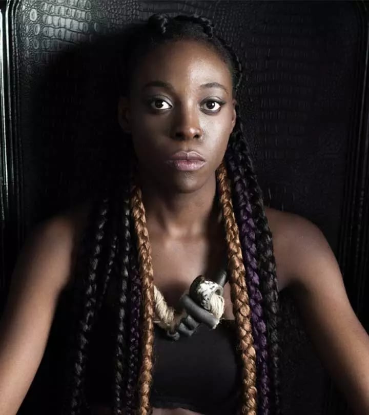Multi-Colored Jumbo Braids With Brown Purple Highlights — Simple Jumbo Braids