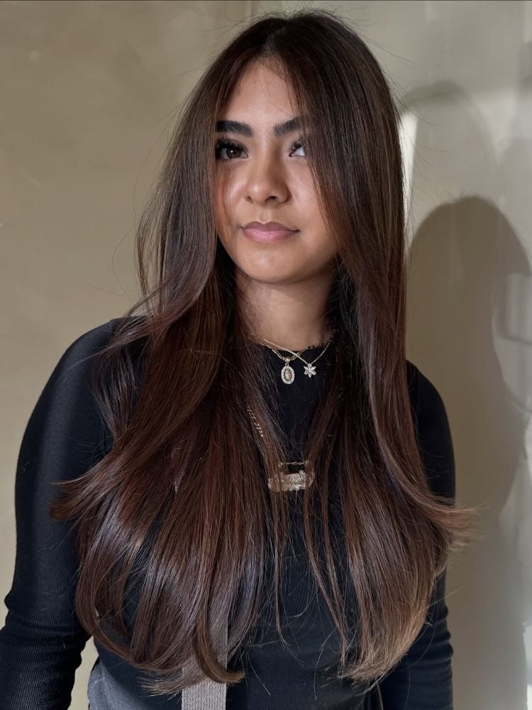 Mid-Back Layers With Glossy Blowout — Simple Mocha Brown Hair