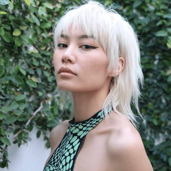 Platinum Blonde Mullet Shag With Curtain Bangs — Simple Mullet Hairstyles