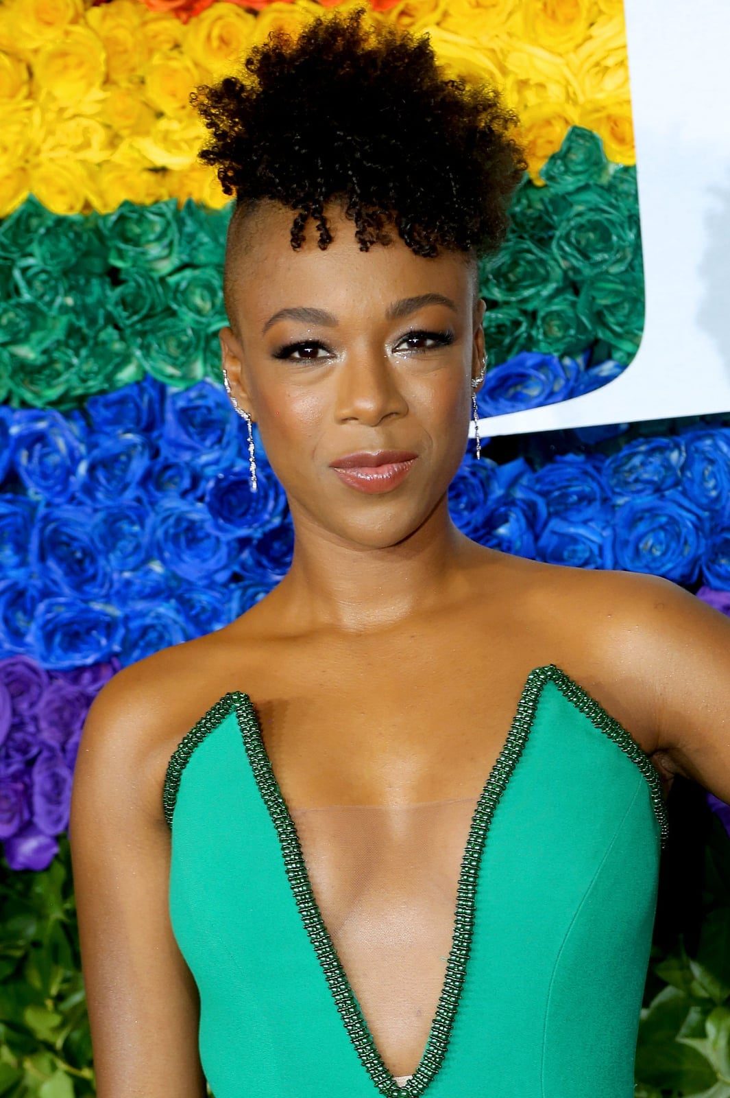 Short Black Defined Coils Short Black Defined Coils — Simple Natural Hair Hairstyles
