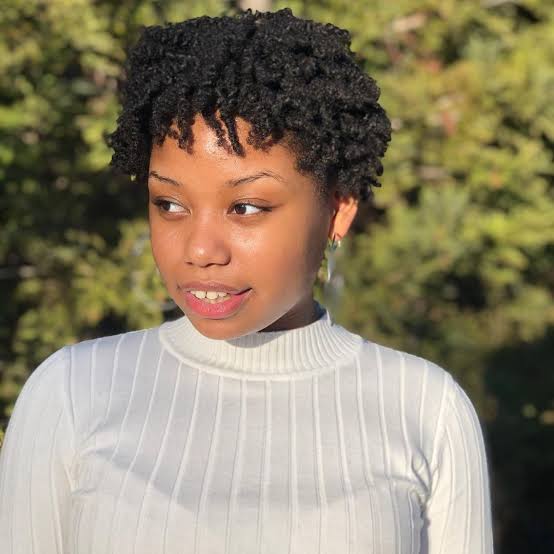 Ear Length Black Defined Coils Ear Length Black Defined Coils — Simple Natural Hair Hairstyles