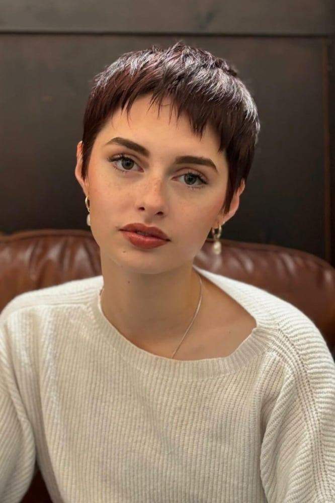 Smooth Dark Brown Pixie With Forward Fringe — Simple Pixie Hairstyles