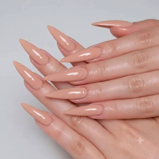 Flawless Glossy Nude Beige Stiletto Nails — Simple Pointy Nails