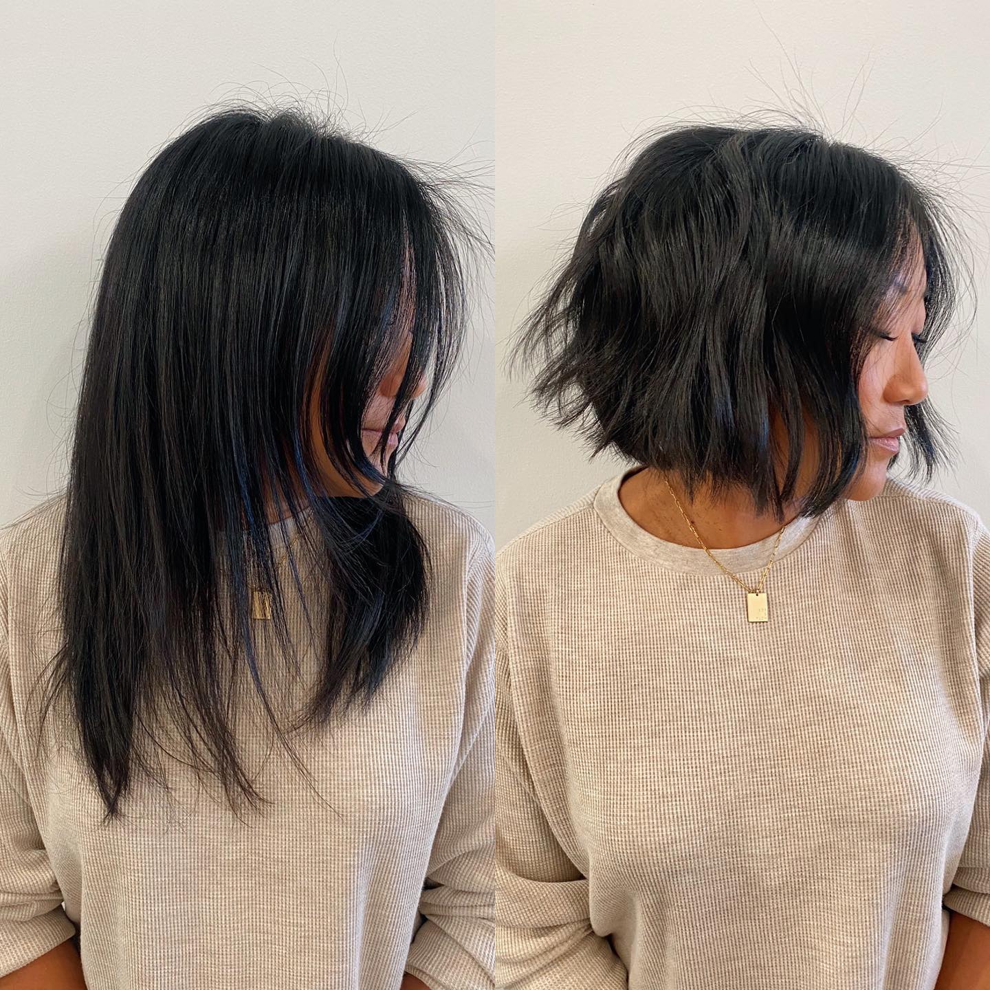 Chin Length Dark Brown Shaggy Bob No Bangs With Styled With A Blowout Chin Length Dark Brown Shaggy Bob No Bangs With Styled With A Blowout — Simple Shaggy Bob