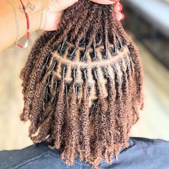 Chin Length Coily Starter Locs Retwisting Chin Length Coily Starter Locs Retwisting — Simple Starter Locs