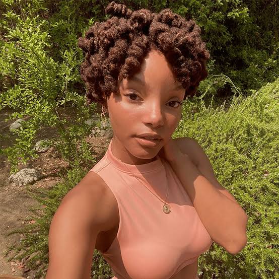 Chin Length Thick Coily Dark Brown Locs Chin Length Thick Coily Dark Brown Locs — Simple Starter Locs