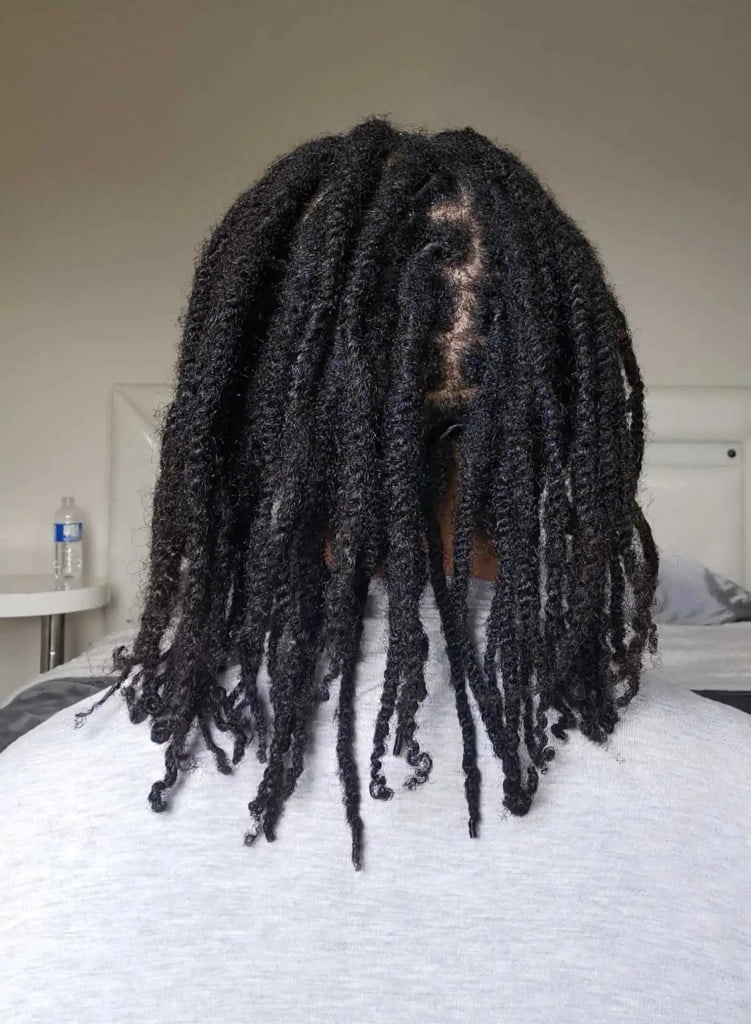 Shoulder Length Thick Coily Black Two Strand Twists, Middle Shoulder Length Thick Coily Black Two Strand Twists, Middle — Simple Starter Locs