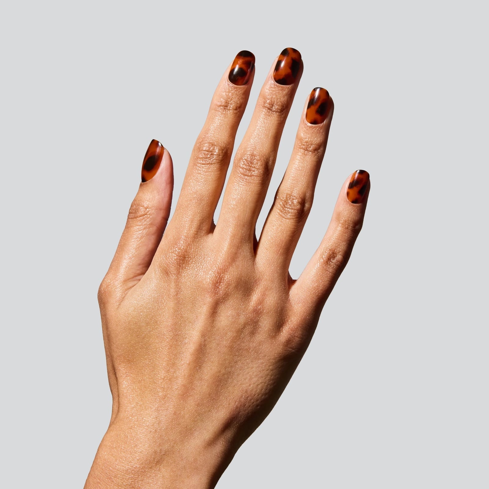 Medium Almond Glossy Tortoise — Simple Tortoise Nails