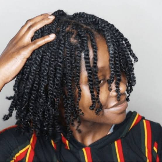 Shoulder Length Black Twists Shoulder Length Black Twists — Simple Two Strand Twists