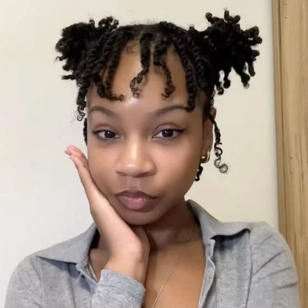 Black Twists In Playful Space Buns Black Twists In Playful Space Buns — Simple Two Strand Twists
