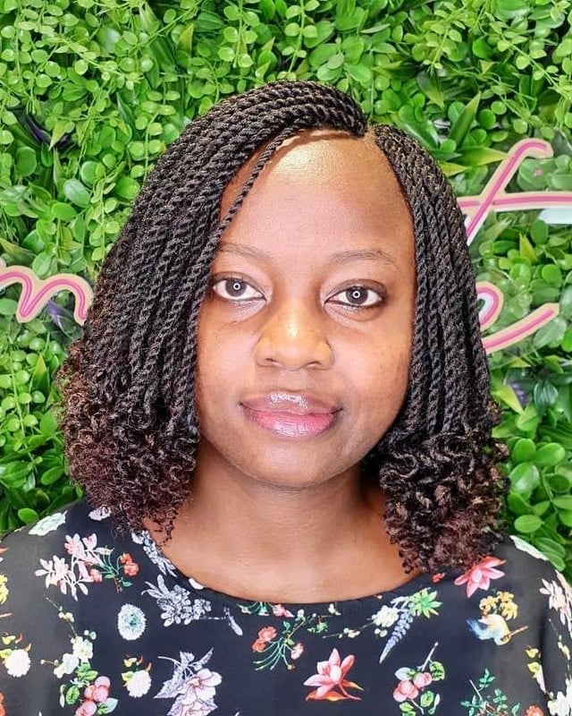 Chin Length Dark Twists With Lighter Ends Chin Length Dark Twists With Lighter Ends — Simple Two Strand Twists