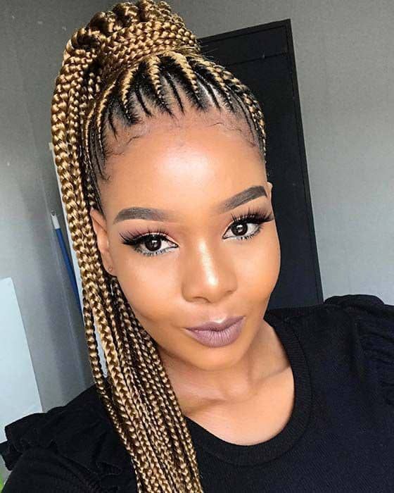 Two-Tone Blonde and Black Box Braids Ponytail Two-Tone Blonde and Black Box Braids Ponytail — Trendy Braided Ponytail