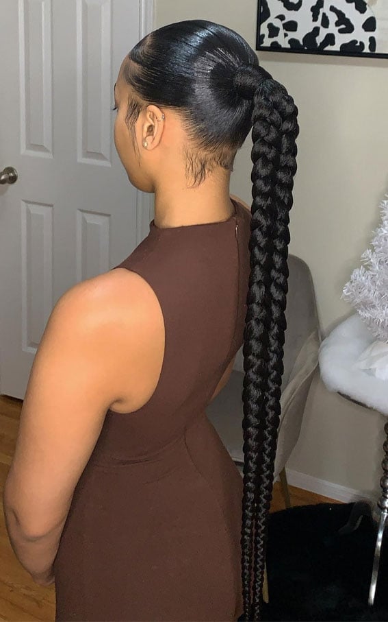 Sleek Black Double Braided Ponytail Sleek Black Double Braided Ponytail — Trendy Braided Ponytail