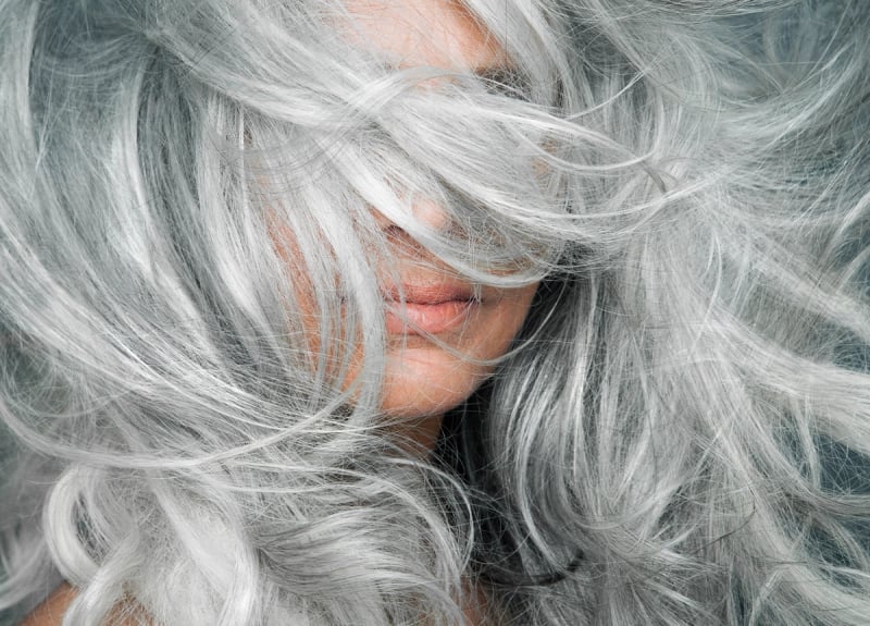 Mid-Back Silver Gray With White Highlights Mid-Back Silver Gray With White Highlights — Trendy Gray Hair Color