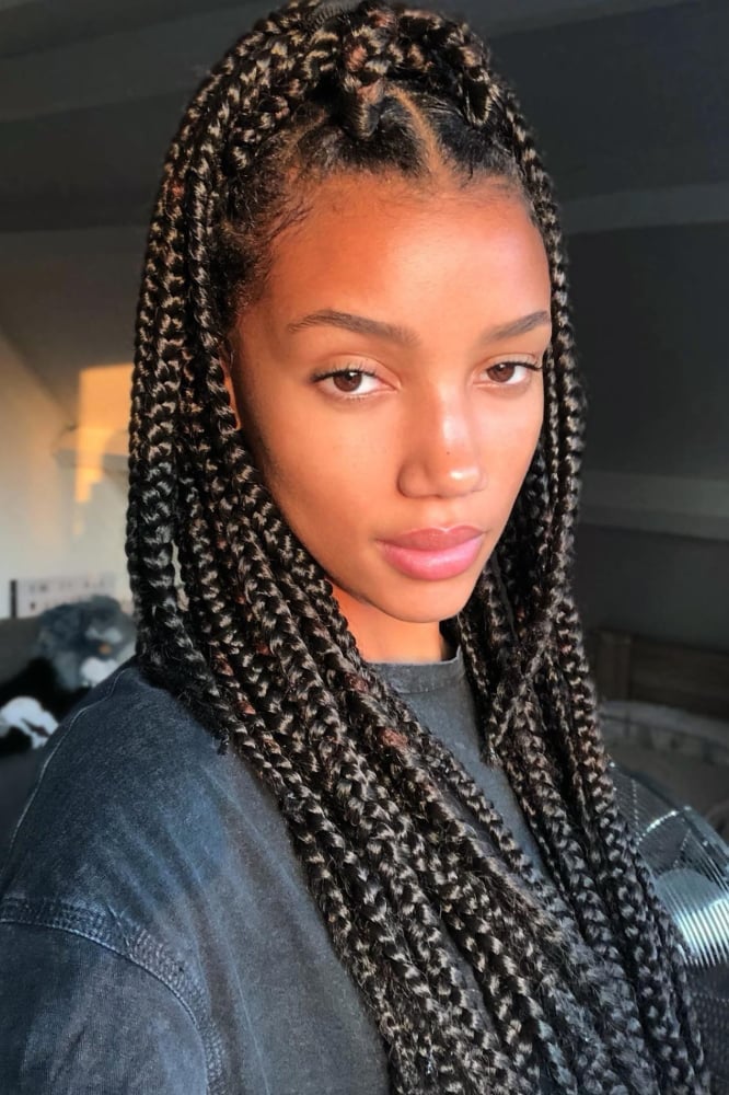 Shoulder-Length Box Braids with Mixed Highlights Shoulder-Length Box Braids with Mixed Highlights — Trendy Hairstyles for Black Women Braids