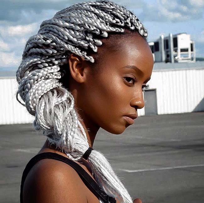 Mid-Back Silver Braids in Updo Mid-Back Silver Braids in Updo — Trendy Hairstyles for Black Women Braids