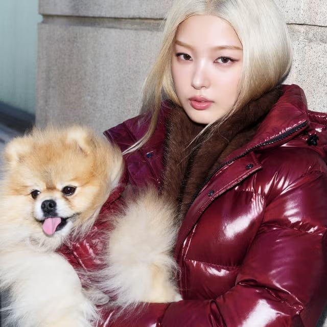 Shiny Burgundy Puffer Jacket Shiny Burgundy Puffer Jacket — Trendy K-pop Outfits