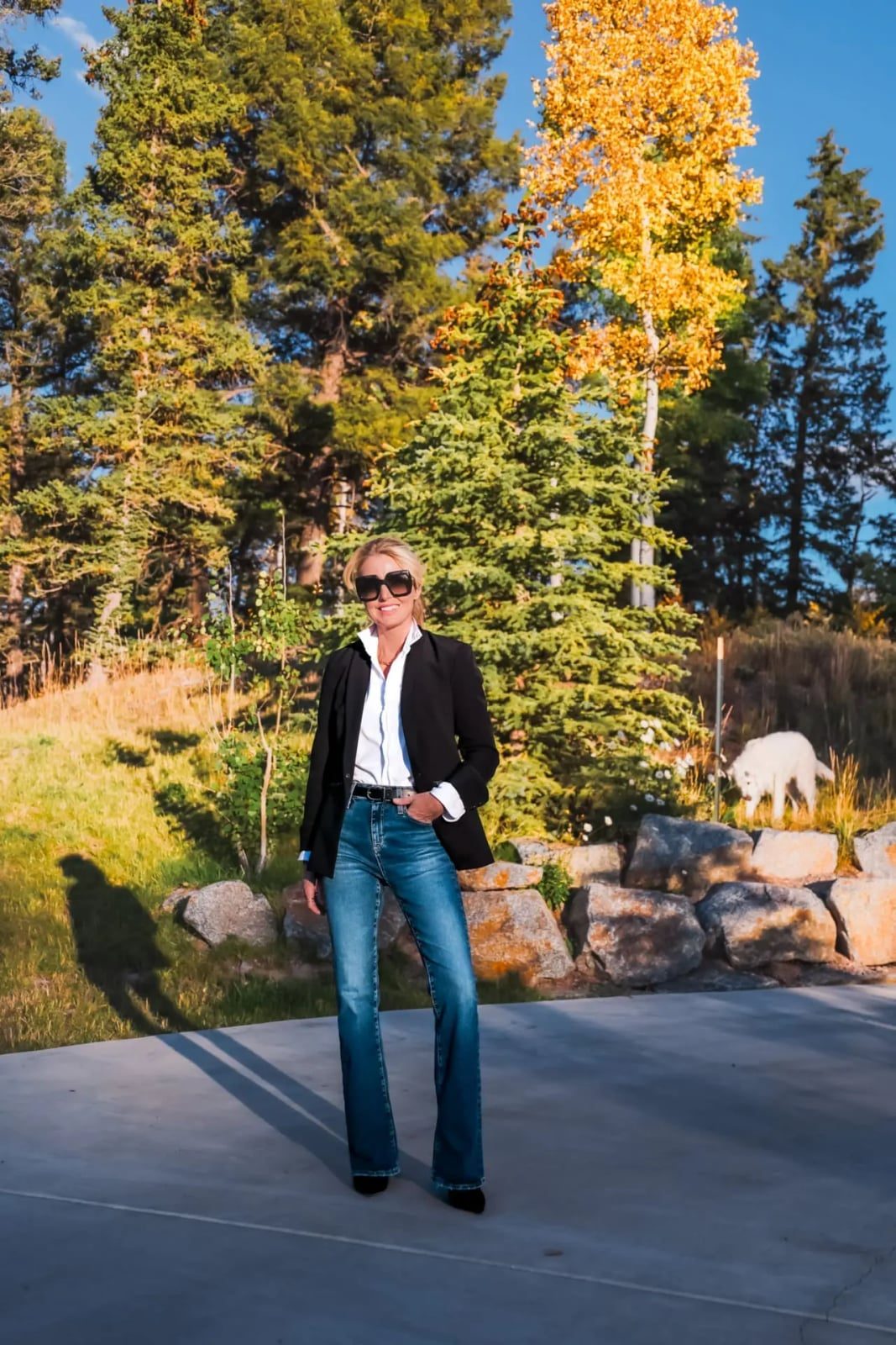 Black Blazer Over White Shirt with Flared Jeans — Trendy Photo Outfit