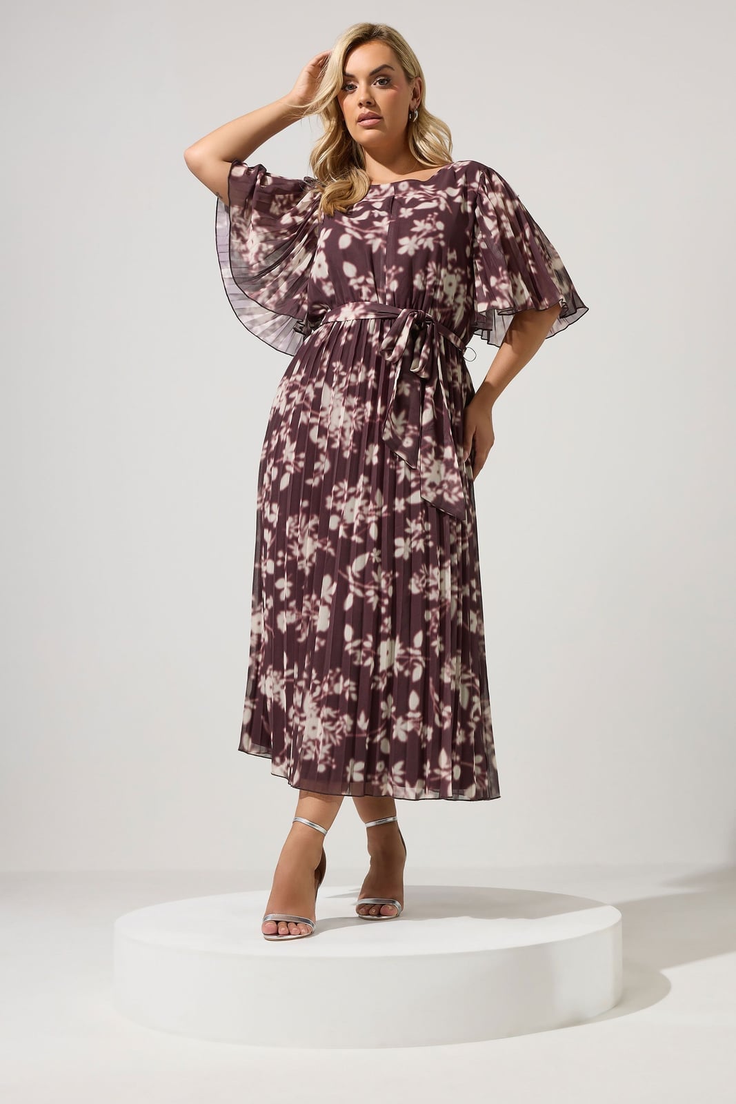 Pleated A-line Dress with Sheer Cape Sleeves — Trendy Plus Size Outfits