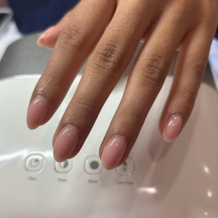 Clean White French Tip Short Round Nails Clean White French Tip Short Round Nails — Trendy Round Nails