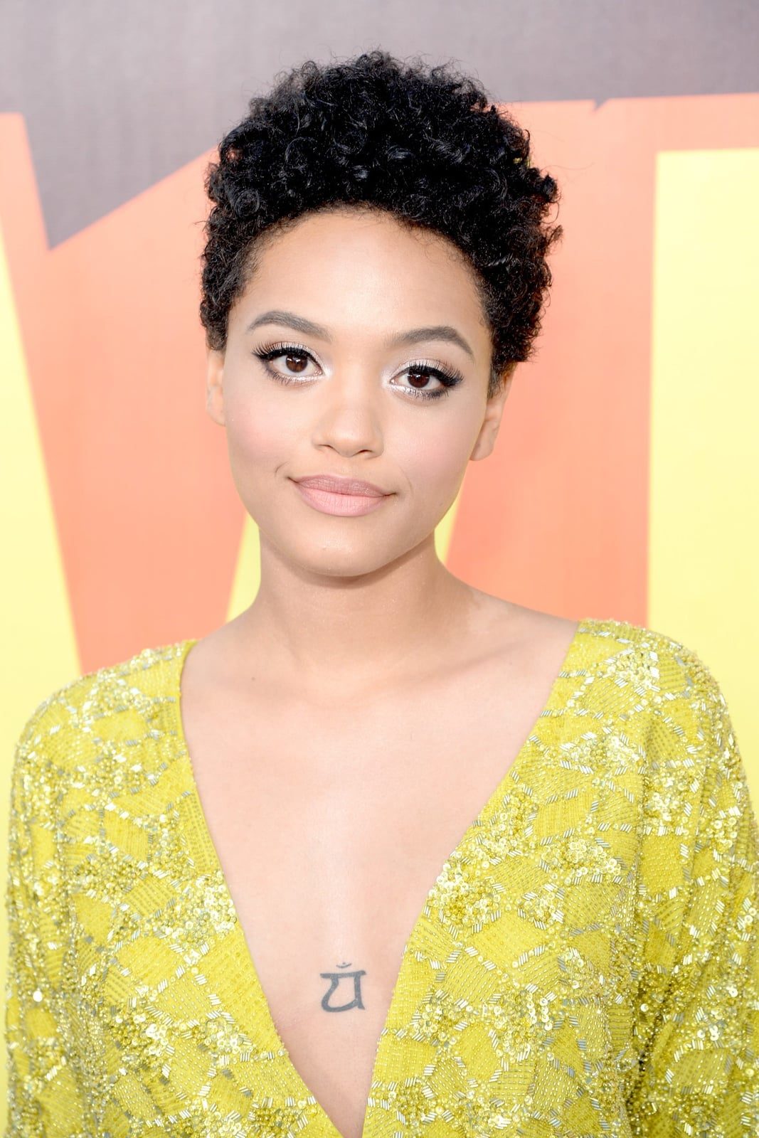 Air Dried Pixie With Tight Curls Air Dried Pixie With Tight Curls — Trendy Short Natural Hairstyles